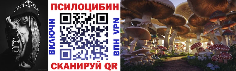 Галлюциногенные грибы Cubensis  где купить наркоту  Грязовец 