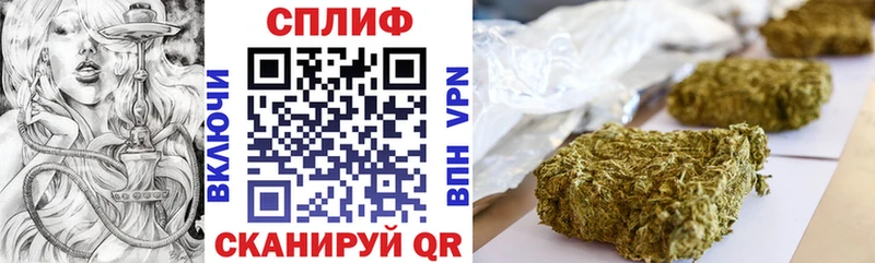 Конопля планчик  Грязовец 